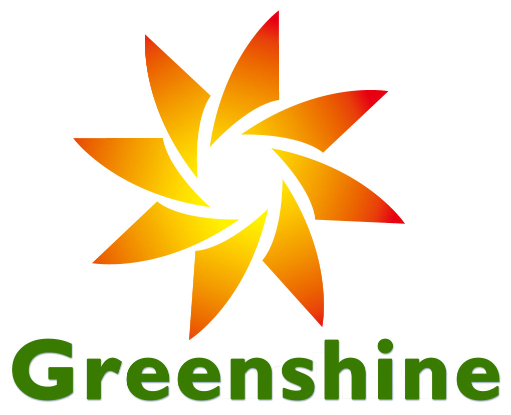 Greenshine New Energy LLC