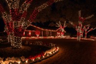 Red and white holiday lights is the color theme for this home and yard.