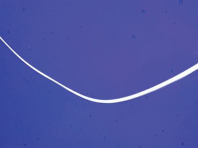 These tiles show cracks and stresses purposely induced in a manufacturer’s lab for testing. The black glass shows internal stress caused by the incorporation of incompatible raw materials. In the green tile, a thermal-shock crack developed when staff brought the tile to a high temperature, then soaked it in cold water. On an actual installation, these cracks generally are clean and run all the way through the tile. The purple glass has experienced a strain during annealing, a process by which cooling is controlled. Each glass formula has its own annealing point, which must be observed to avoid these stresses.