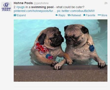 @garyhohne  knows people love pics of animals in pools. And these pugs take the cake this week! #PSNSocialService