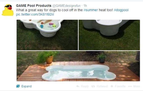 Sure we're biased, but we think this dog pool shared by 
@GAMEdesignsfun is an excellent idea. Afterall, dogs are part of the family and should be able to enjoy the backyard, too! #PSNSocialService