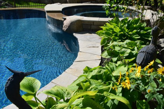 Photo: Melanie Perreault