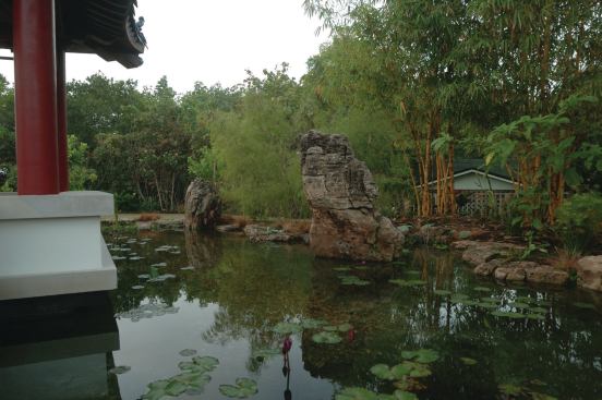 The scholar: In Chinese gardens, the most interesting specimen often is chosen as a scholar’s rock and displayed singularly. This site contains three of them. Because of the variety of rock used in traditional Chinese gardens, the pieces often are relatively thin and very eroded, with holes in the middle that one can see through, or even several holes that create a lattice-like effect. In this case, the design team chose the most distinctly shaped and weathered pieces available. One is eroded on all sides and has an angular beauty, while another is more rounded and resembles a human face. The pond is waterproofed with an EPDM liner, attached to the base of the concrete pavilions. After the rocks were secured, a 4- to- 5-inch-thick layer of fiber-reinforced concrete was placed over the liner. The surface was then coated with black plaster. “It’s almost like seeing a botanic garden pool where it’s a nice, dark color,” Duensing says. “And it helps to accent the rocks and creates more reflections as well.”