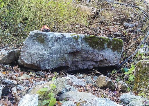 To assemble the waterfall, Dorsey created a rendering mapping out the placement of key specimens. Boulders were extracted from a remote mountainside location, then sent to a granite fabricating facility, where a 10-foot diameter saw was used to cut the rocks to fit against the basin walls. To fit one 13-foot specimen in a corner, for instance, fabricators cut 3 feet off one end and sliced the back. Explains Dorsey: “That was by far the most challenging part of this project — standing in the rain with a printout of my 3-D concept, looking at 15 or so very large boulders laid out on two tractor trailers, trying to decide where to mark the cuts needed to make it all come together.”