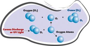 Breaking down: Ozone is formed when oxygen molecules (O2) are split into individual atoms (O), which then recombine into molecules of ozone (O3).