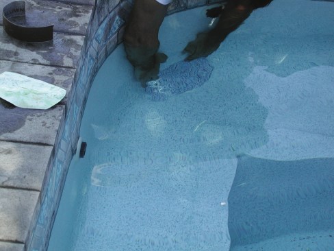 2. Take some glue that is approved for vinyl-liner repairs and spread it thoroughly on the underside of the patch.     